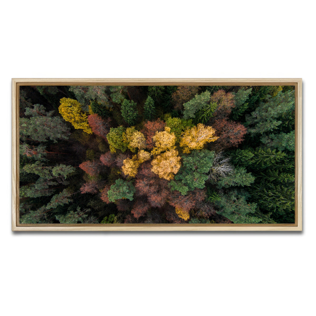 AUTO-MOCKUP WHITE | Colorful Canopy | 1 Piece | Natural Framed Canvas | group=2x1