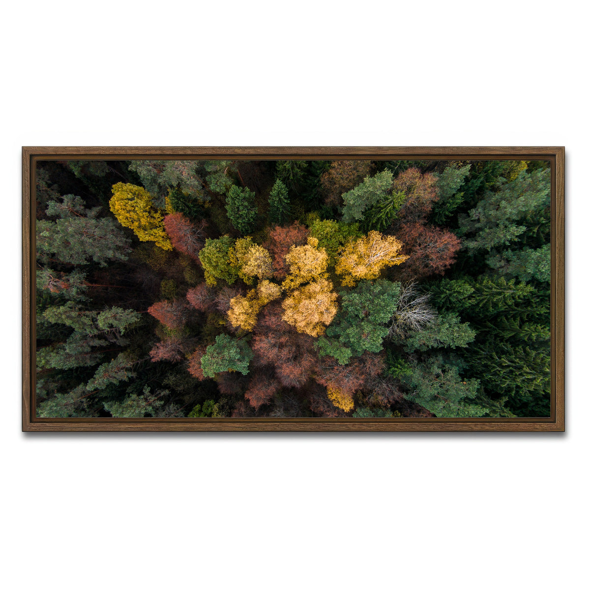 AUTO-MOCKUP WHITE | Colorful Canopy | 1 Piece | Walnut Framed Canvas | group=2x1