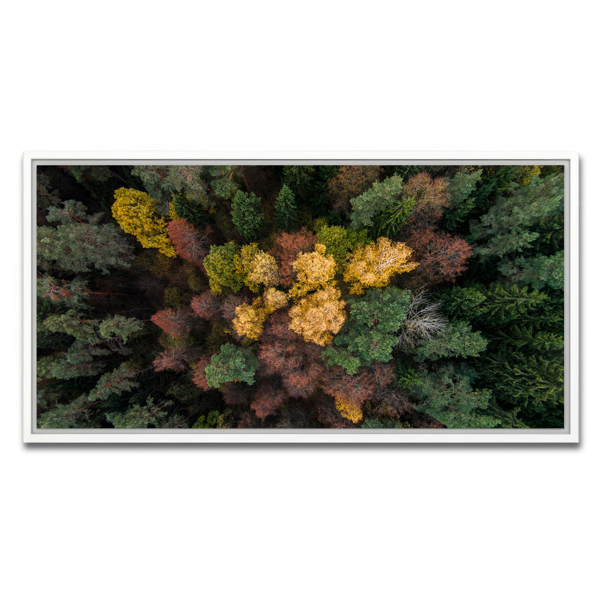 AUTO-MOCKUP WHITE | Colorful Canopy | 1 Piece | White Framed Canvas | group=2x1