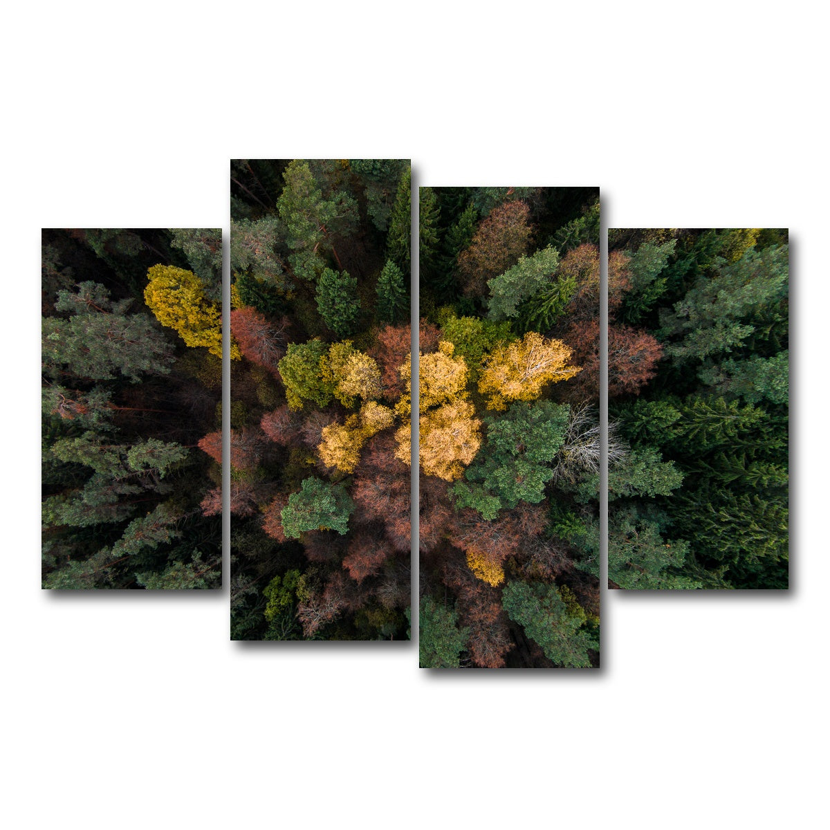 AUTO-MOCKUP WHITE | Colorful Canopy | 4 Piece | Gallery Wrap Canvas | group=4_short