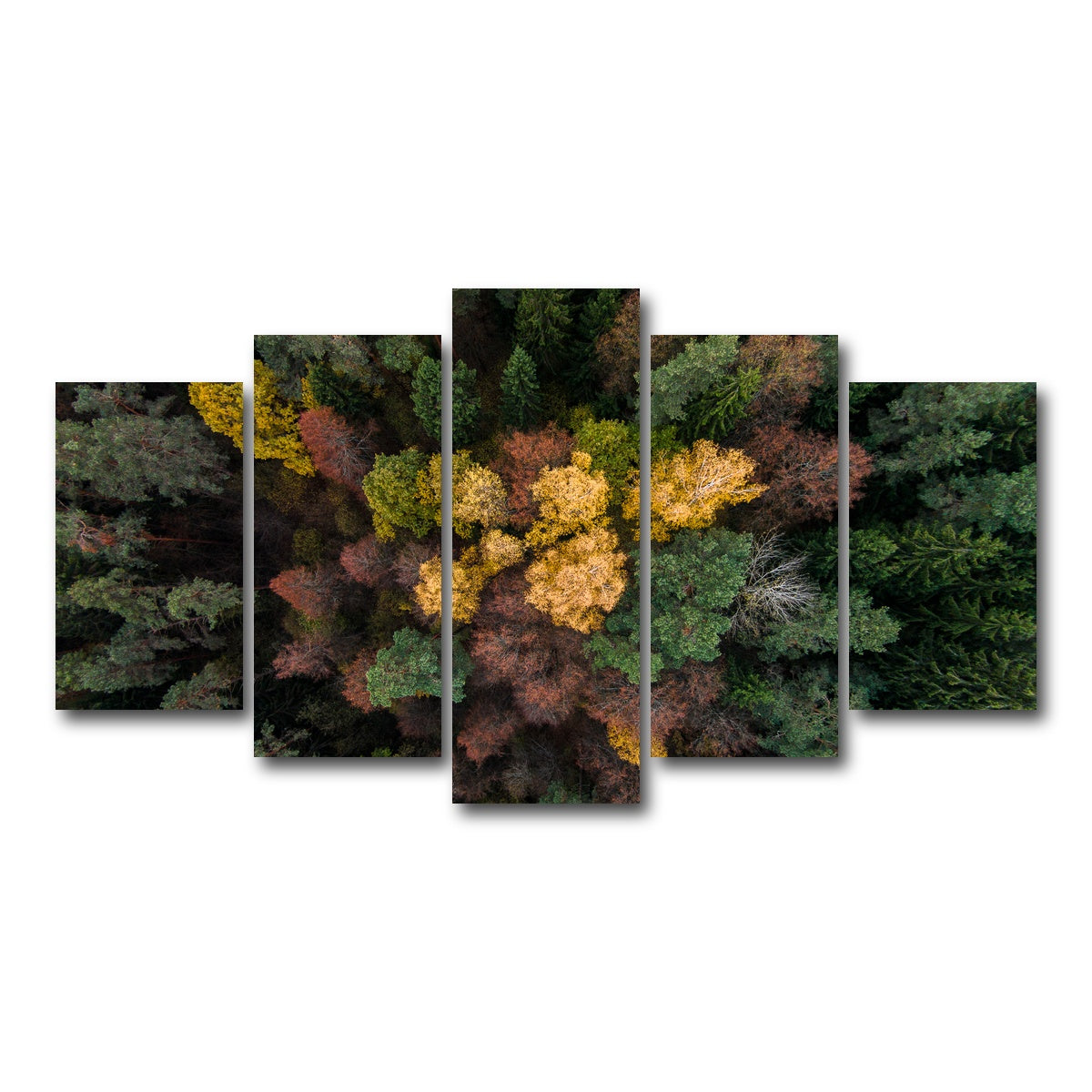 AUTO-MOCKUP WHITE | Colorful Canopy | 5 Piece | Gallery Wrap Canvas | group=5_normal