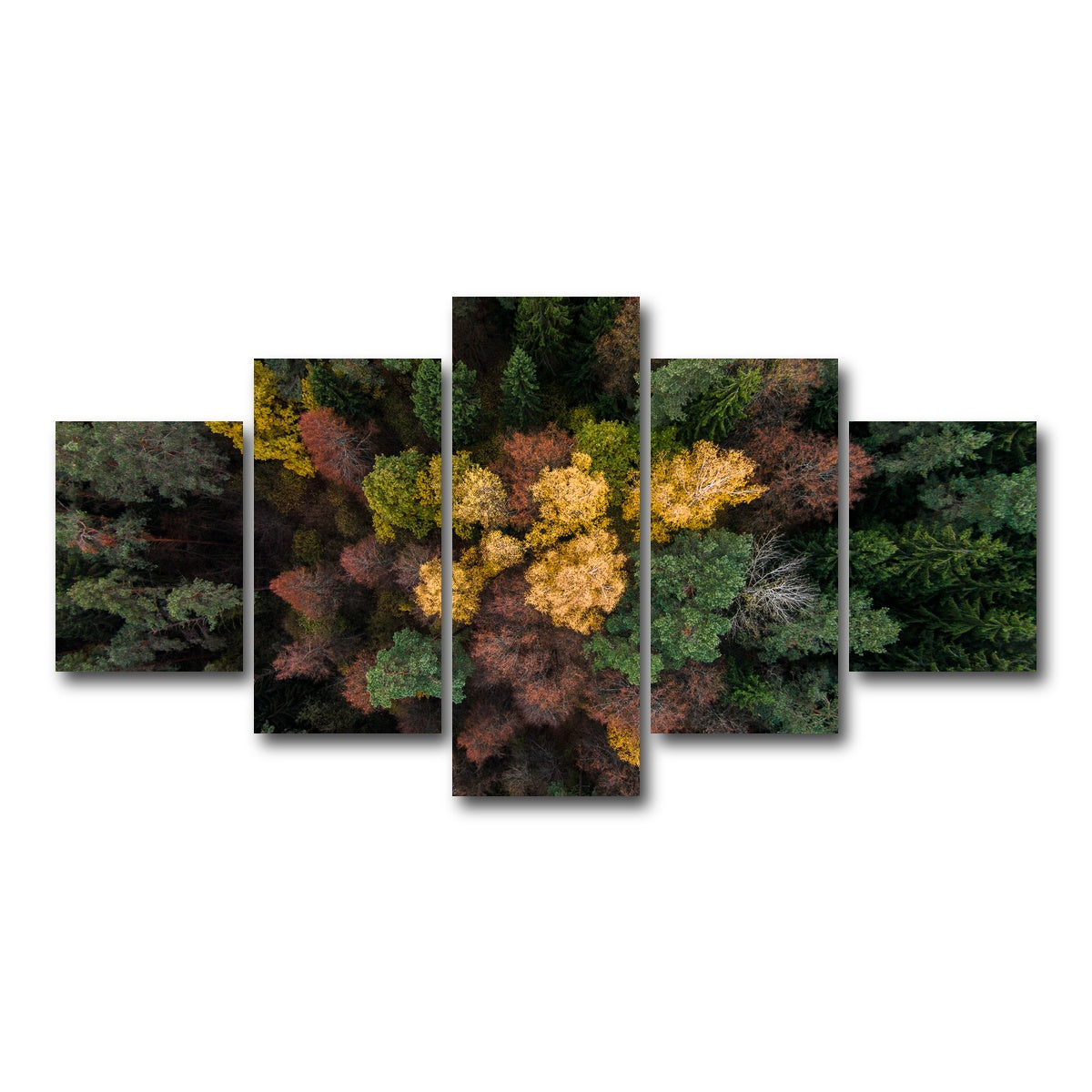 AUTO-MOCKUP WHITE | Colorful Canopy | 5 Piece | Gallery Wrap Canvas | group=5_short