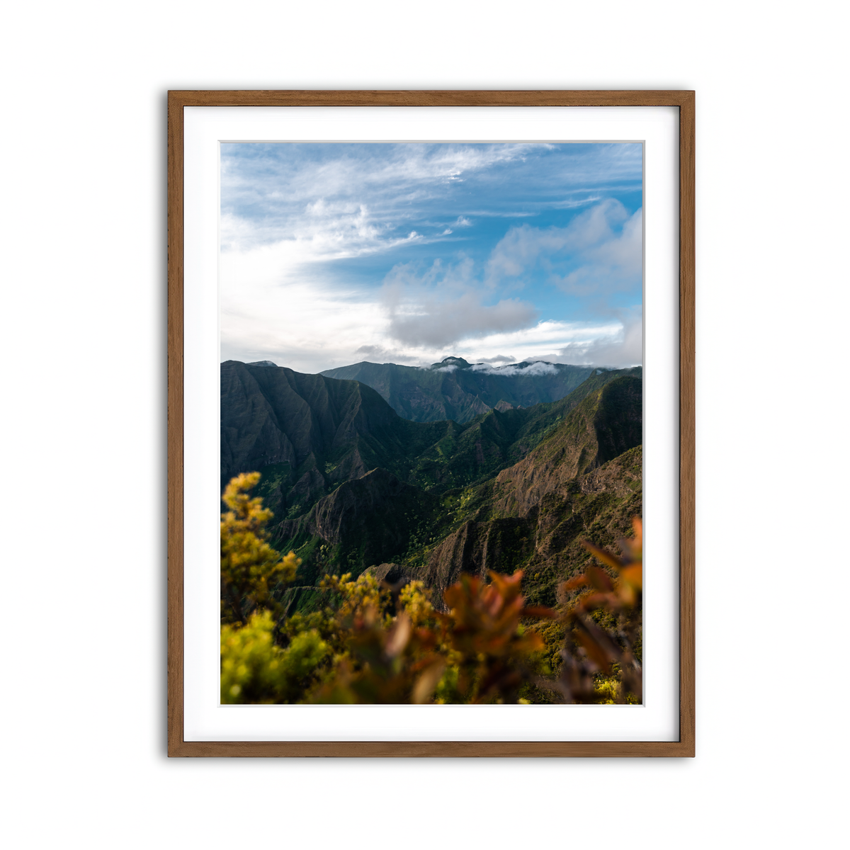 Framed Print 3x4 Walnut