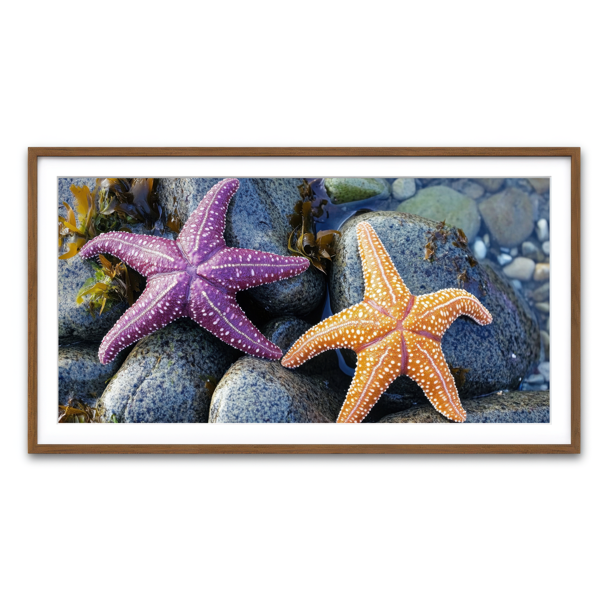 Framed Print 2x1 Walnut