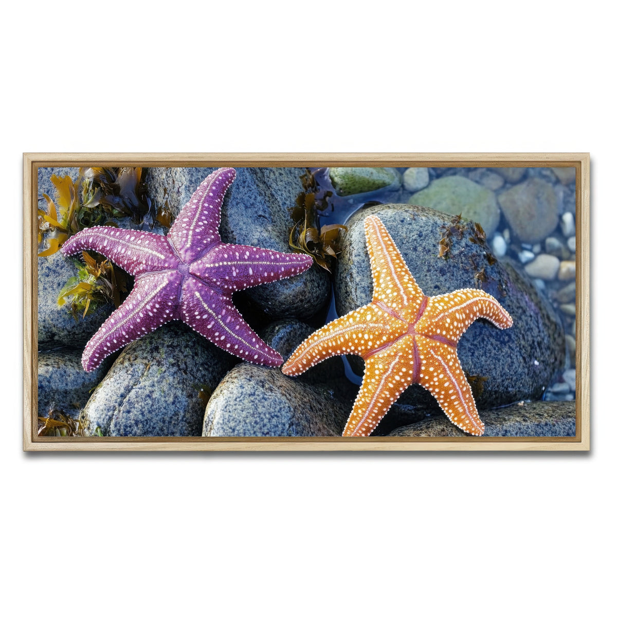 AUTO-MOCKUP WHITE | Colorful starfishes | 1 Piece | Natural Framed Canvas | group=2x1