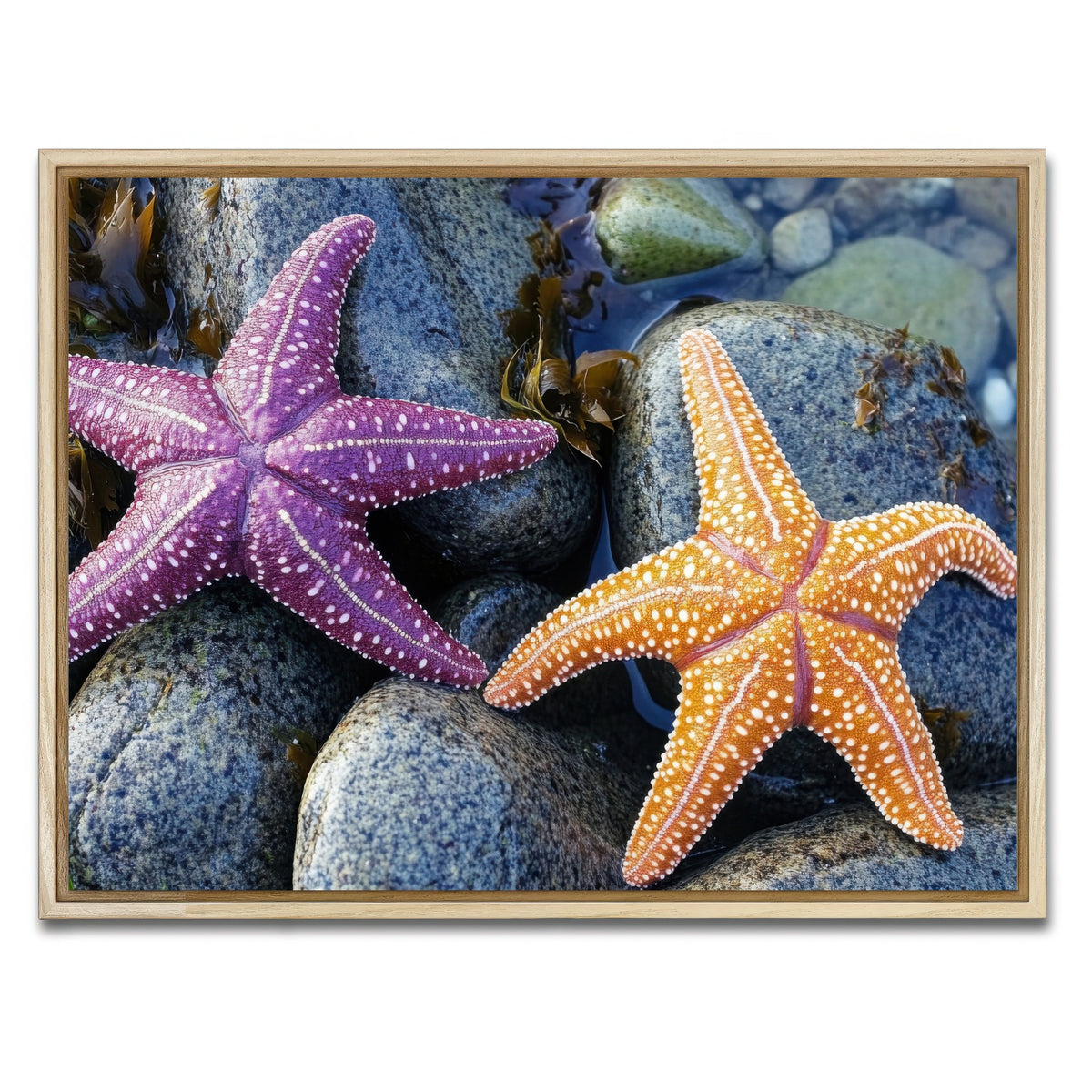 AUTO-MOCKUP WHITE | Colorful starfishes | 1 Piece | Natural Framed Canvas | group=4x3