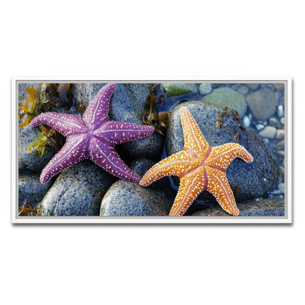 AUTO-MOCKUP WHITE | Colorful starfishes | 1 Piece | White Framed Canvas | group=2x1