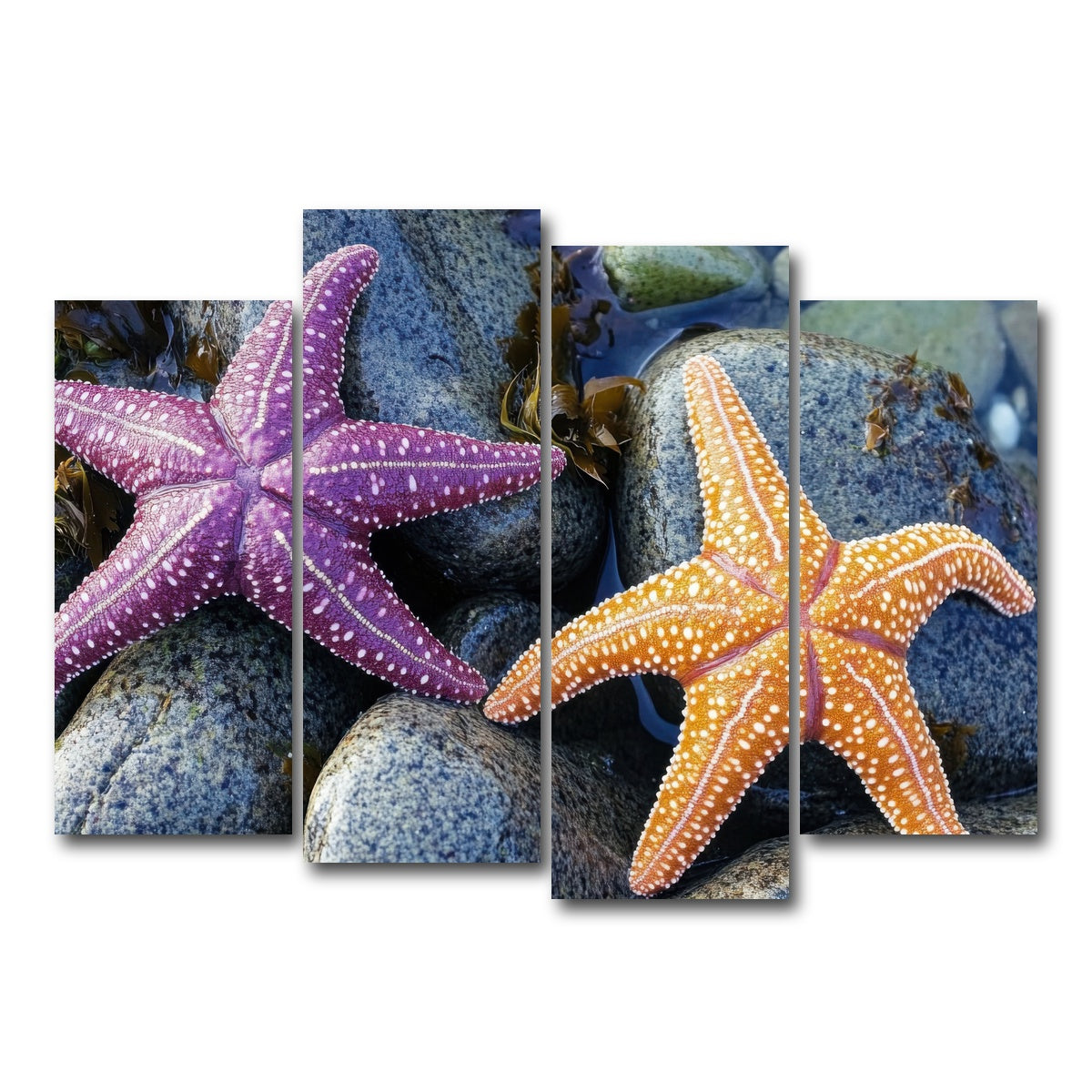 AUTO-MOCKUP WHITE | Colorful starfishes | 4 Piece | Gallery Wrap Canvas | group=4_normal
