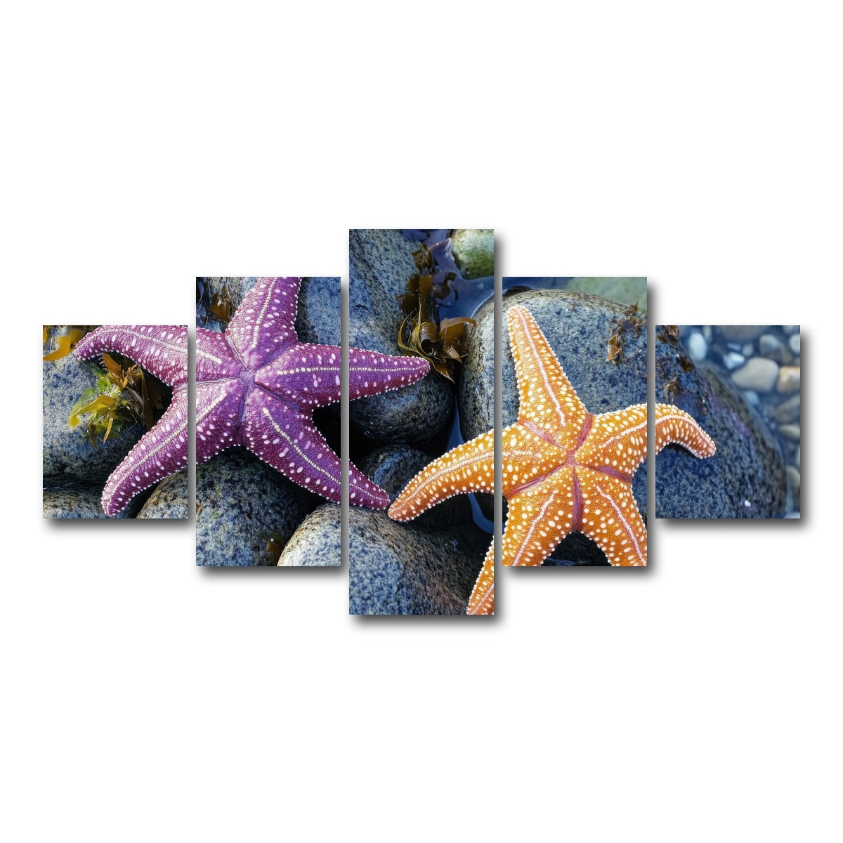 AUTO-MOCKUP WHITE | Colorful starfishes | 5 Piece | Gallery Wrap Canvas | group=5_short