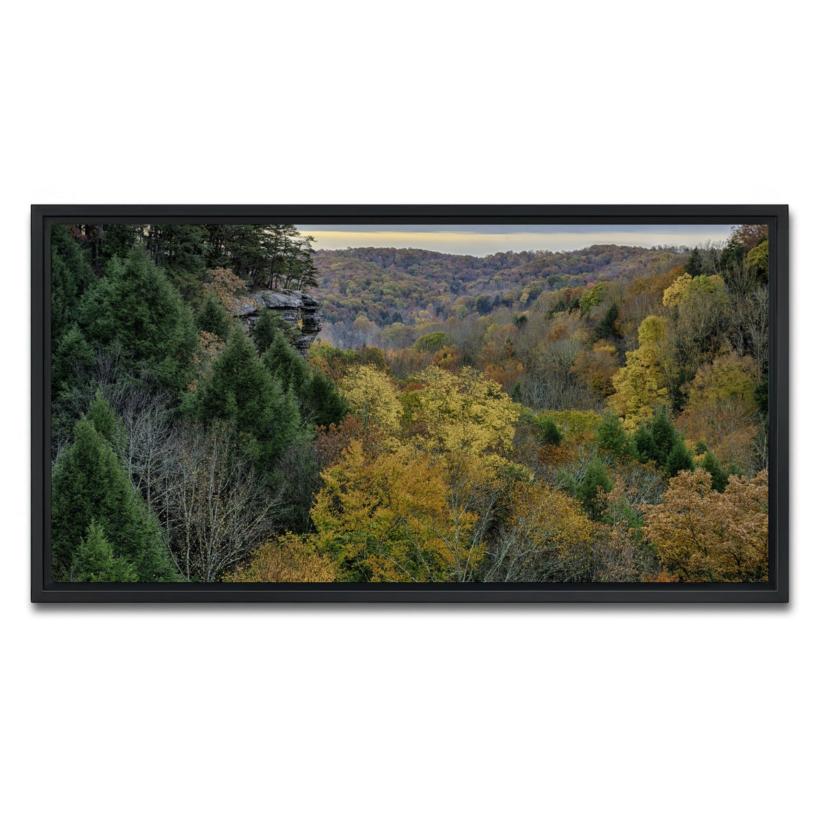 AUTO-MOCKUP WHITE | Conkle's Hollow State Nature Preserve | 1 Piece | Black Framed Canvas | group=2x1