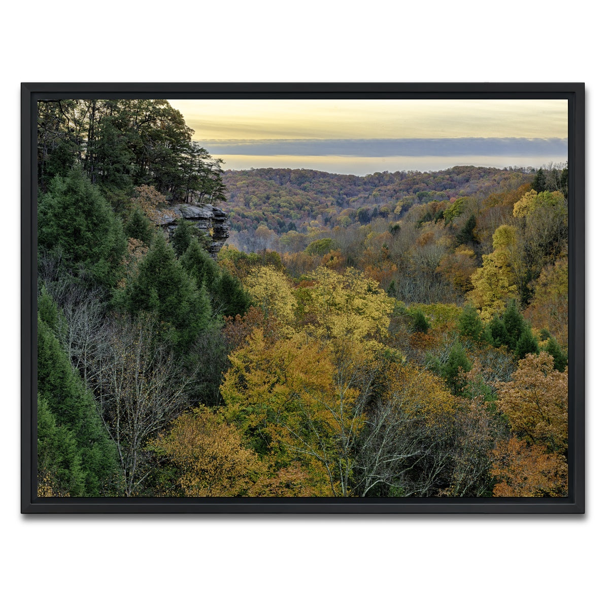 AUTO-MOCKUP WHITE | Conkle's Hollow State Nature Preserve | 1 Piece | Black Framed Canvas | group=4x3