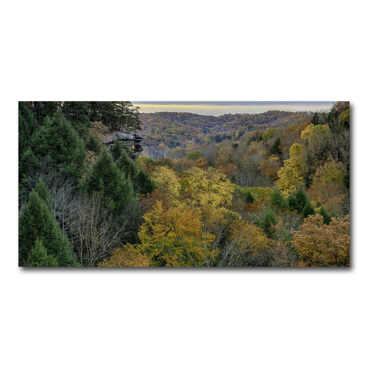 AUTO-MOCKUP WHITE | Conkle's Hollow State Nature Preserve | 1 Piece | Gallery Wrap Canvas | group=2x1