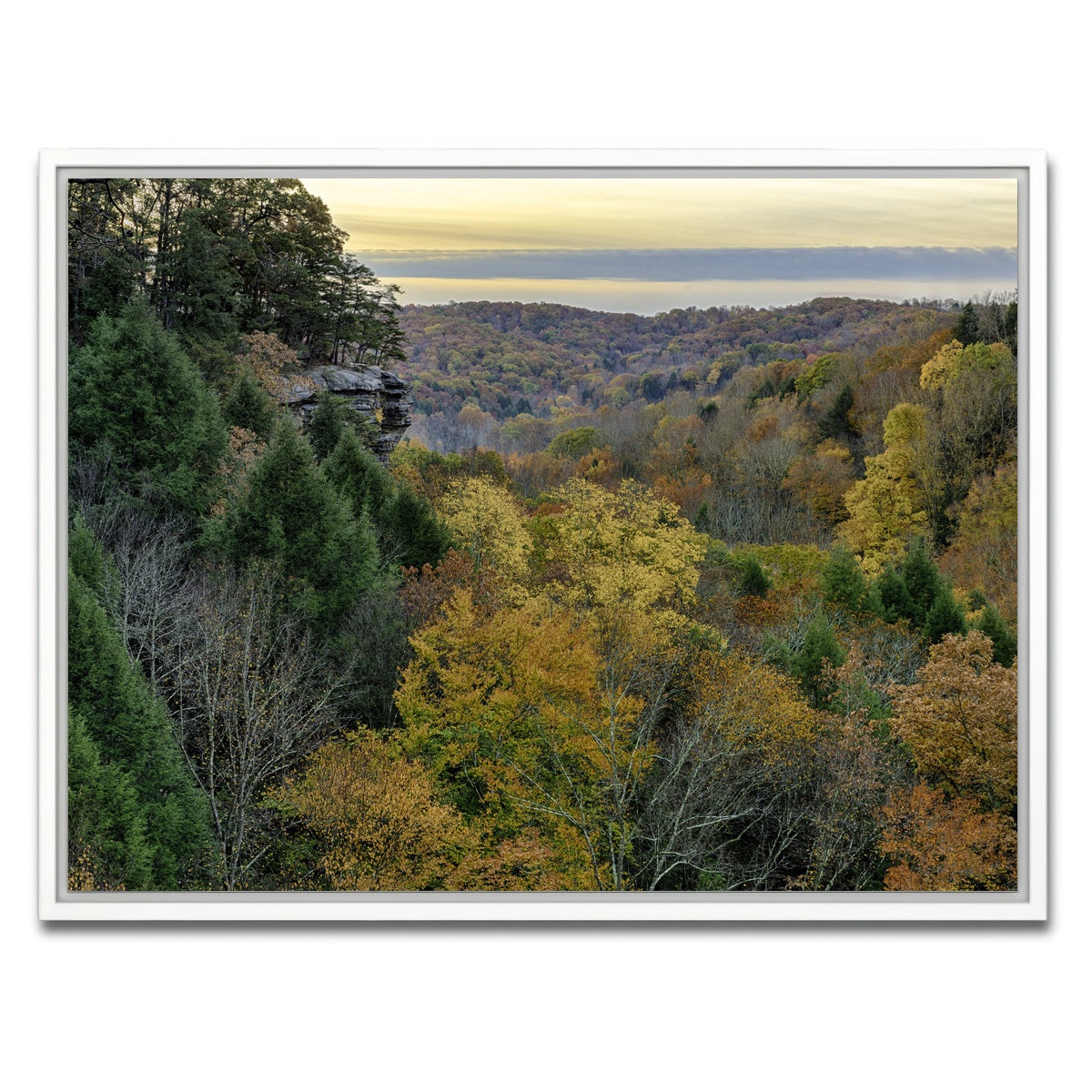 AUTO-MOCKUP WHITE | Conkle's Hollow State Nature Preserve | 1 Piece | White Framed Canvas | group=4x3