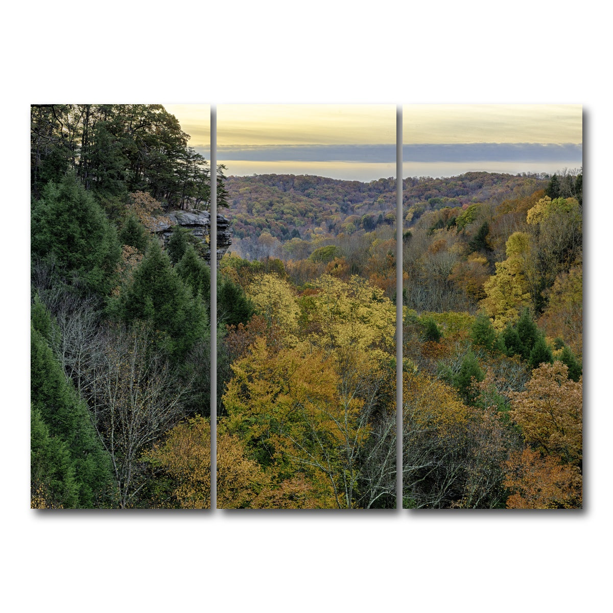 AUTO-MOCKUP WHITE | Conkle's Hollow State Nature Preserve | 3 Piece | Gallery Wrap Canvas | group=8x18