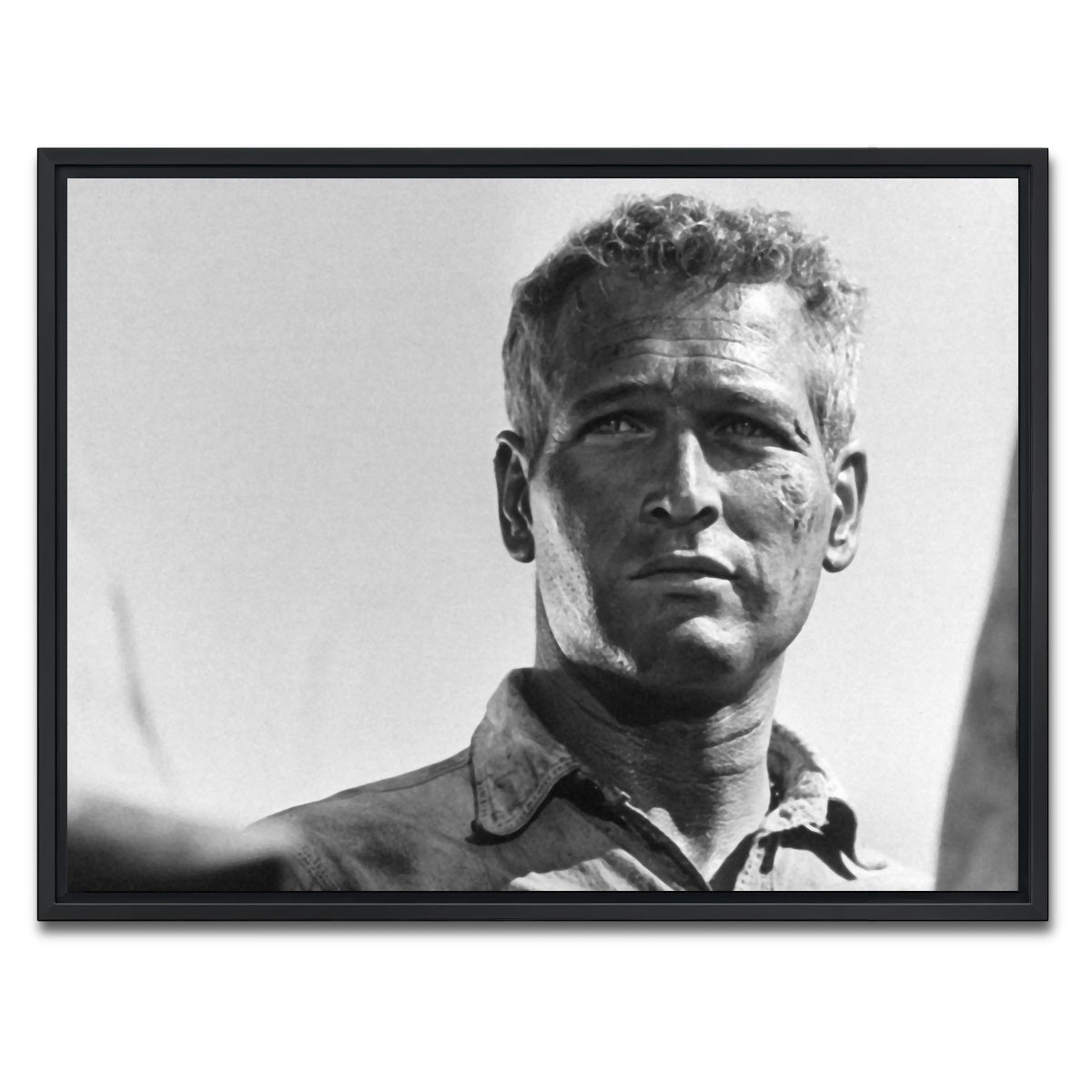 AUTO-MOCKUP WHITE | Cool Hand Luke | 1 Piece | Black Framed Canvas | group=4x3