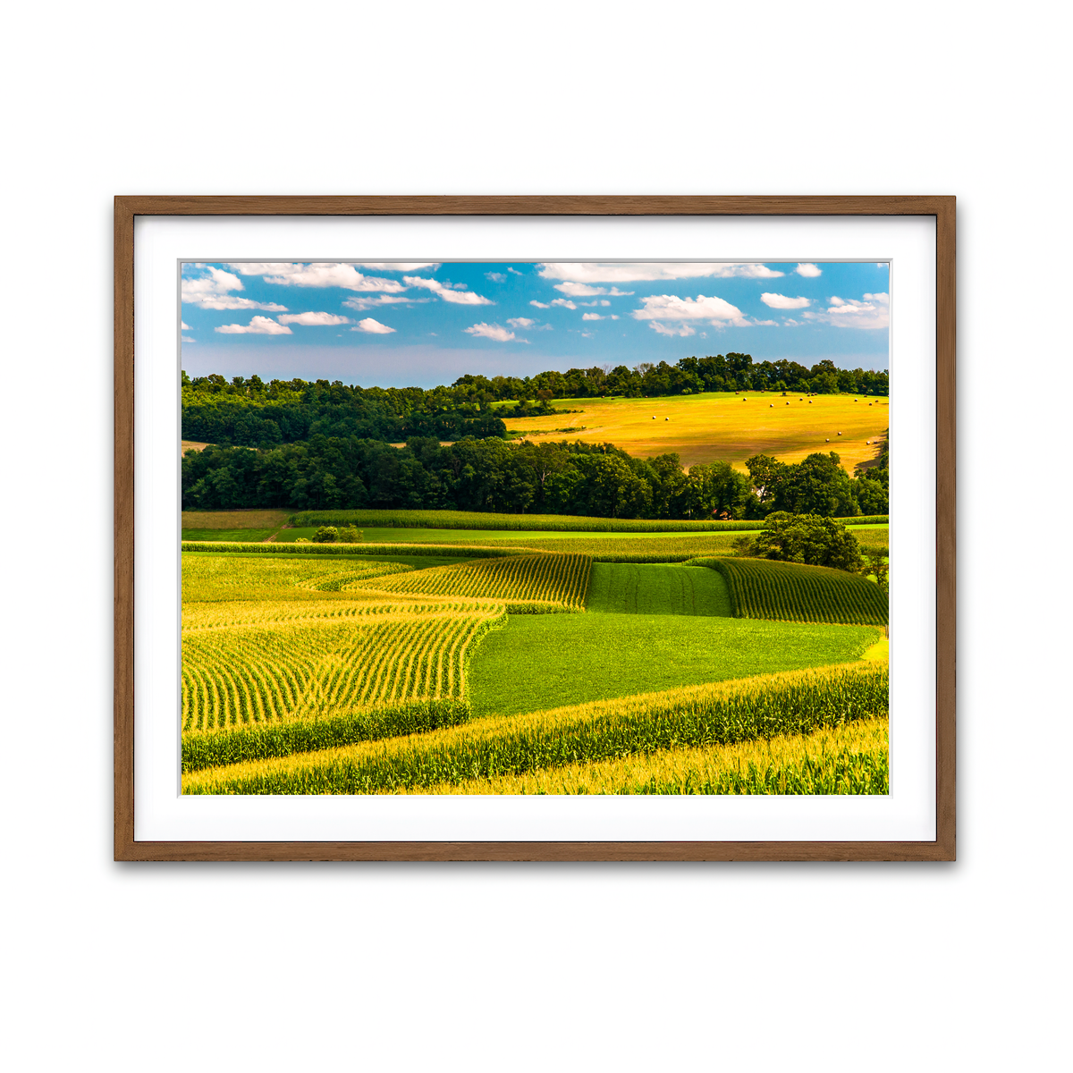 Framed Print 4x3 Walnut