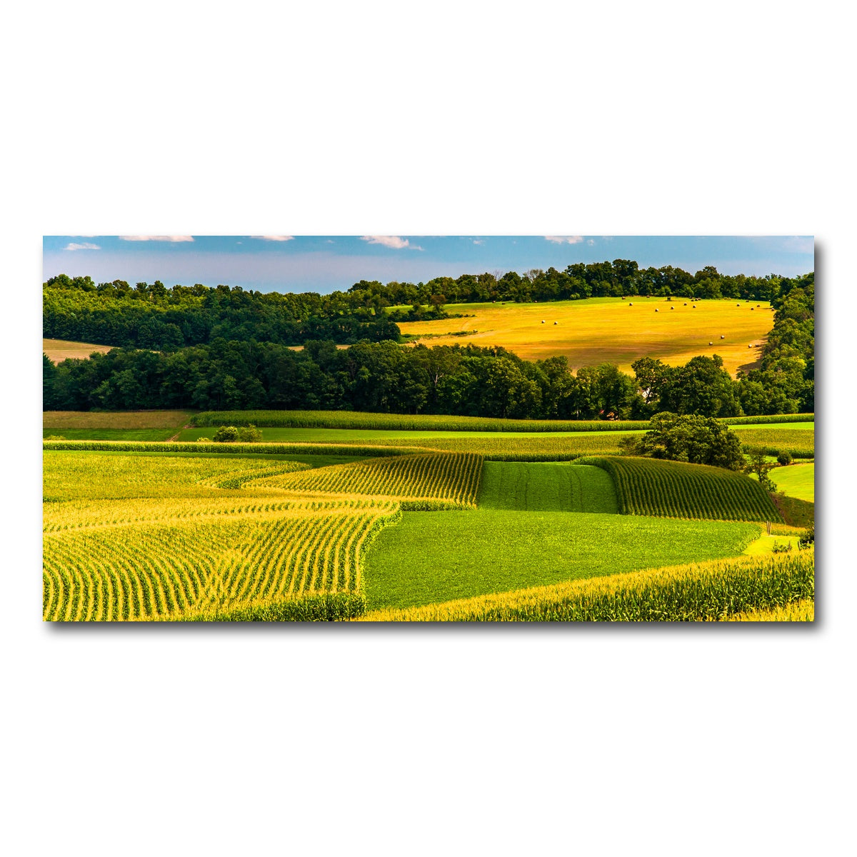 AUTO-MOCKUP WHITE | Corn fields and rolling hills York County | 1 Piece | Gallery Wrap Canvas | group=2x1