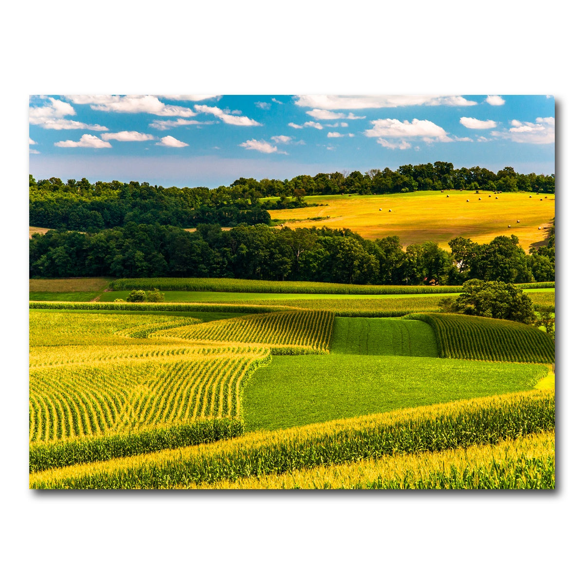 AUTO-MOCKUP WHITE | Corn fields and rolling hills York County | 1 Piece | Gallery Wrap Canvas | group=4x3