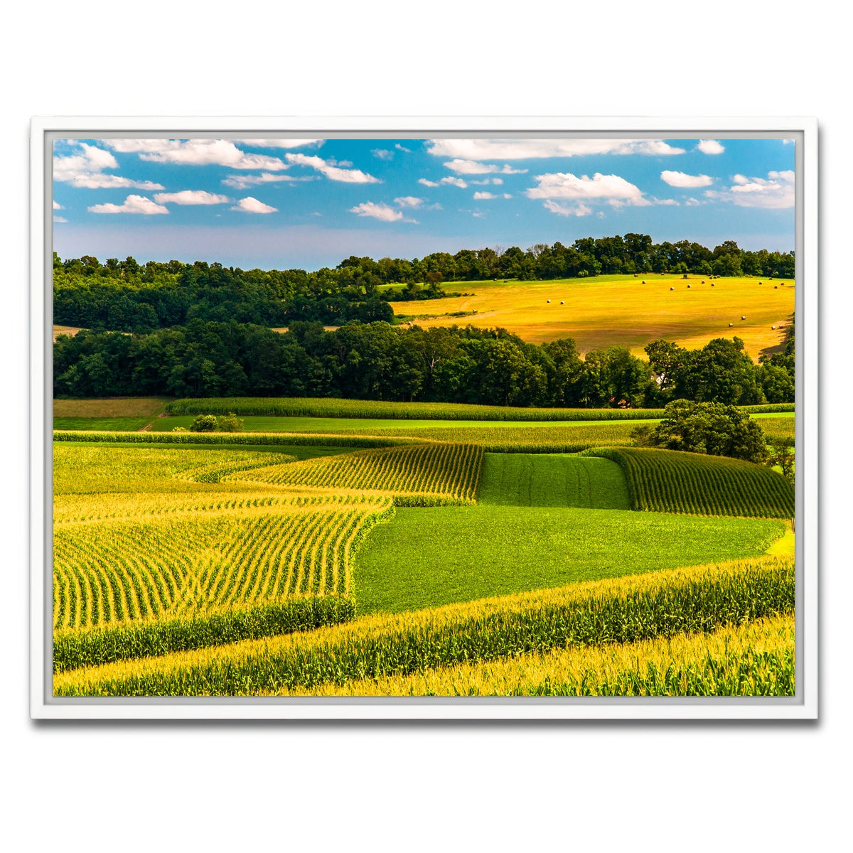 AUTO-MOCKUP WHITE | Corn fields and rolling hills York County | 1 Piece | White Framed Canvas | group=4x3