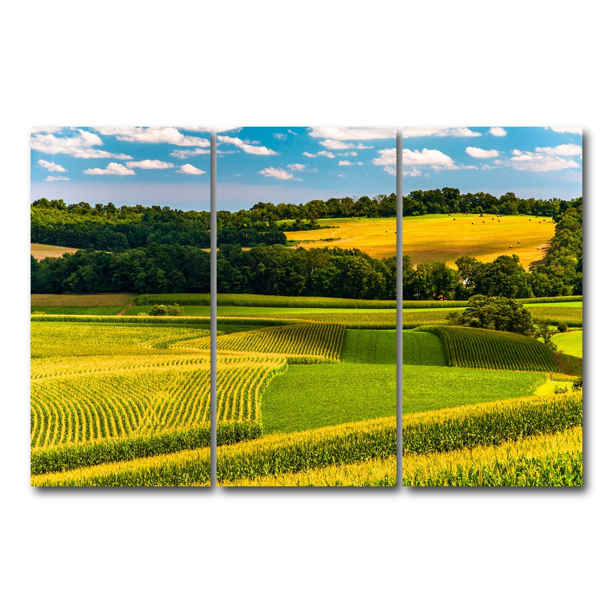 AUTO-MOCKUP WHITE | Corn fields and rolling hills York County | 3 Piece | Gallery Wrap Canvas | group=12x24