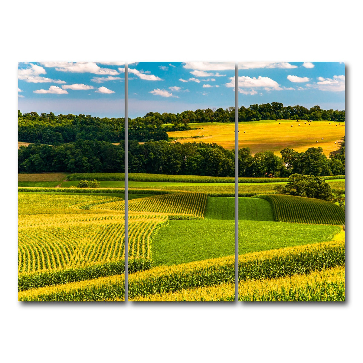 AUTO-MOCKUP WHITE | Corn fields and rolling hills York County | 3 Piece | Gallery Wrap Canvas | group=8x18