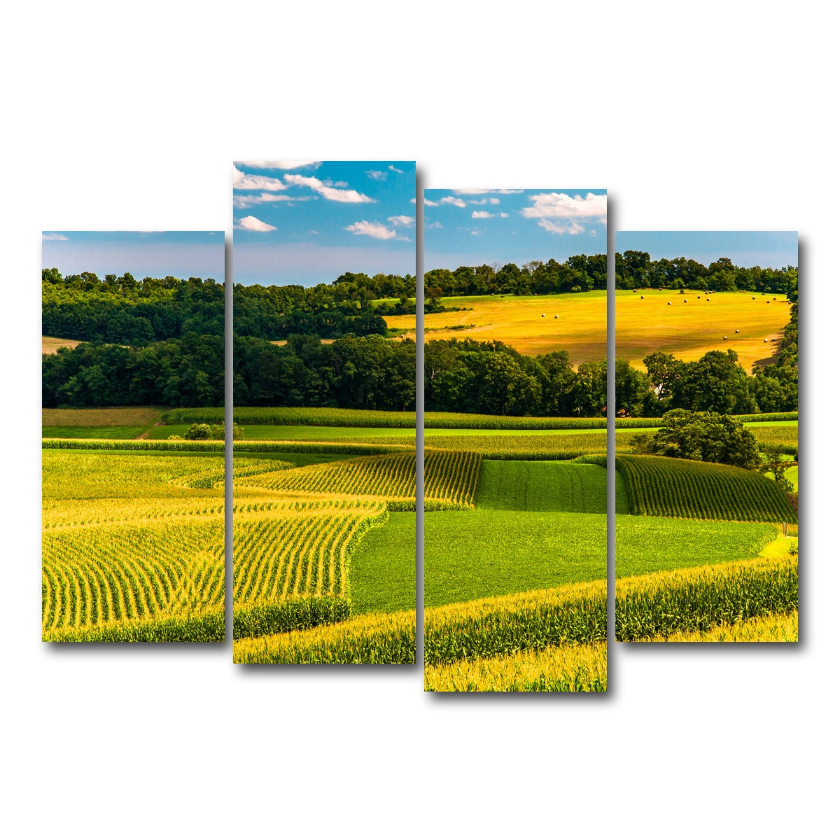 AUTO-MOCKUP WHITE | Corn fields and rolling hills York County | 4 Piece | Gallery Wrap Canvas | group=4_normal
