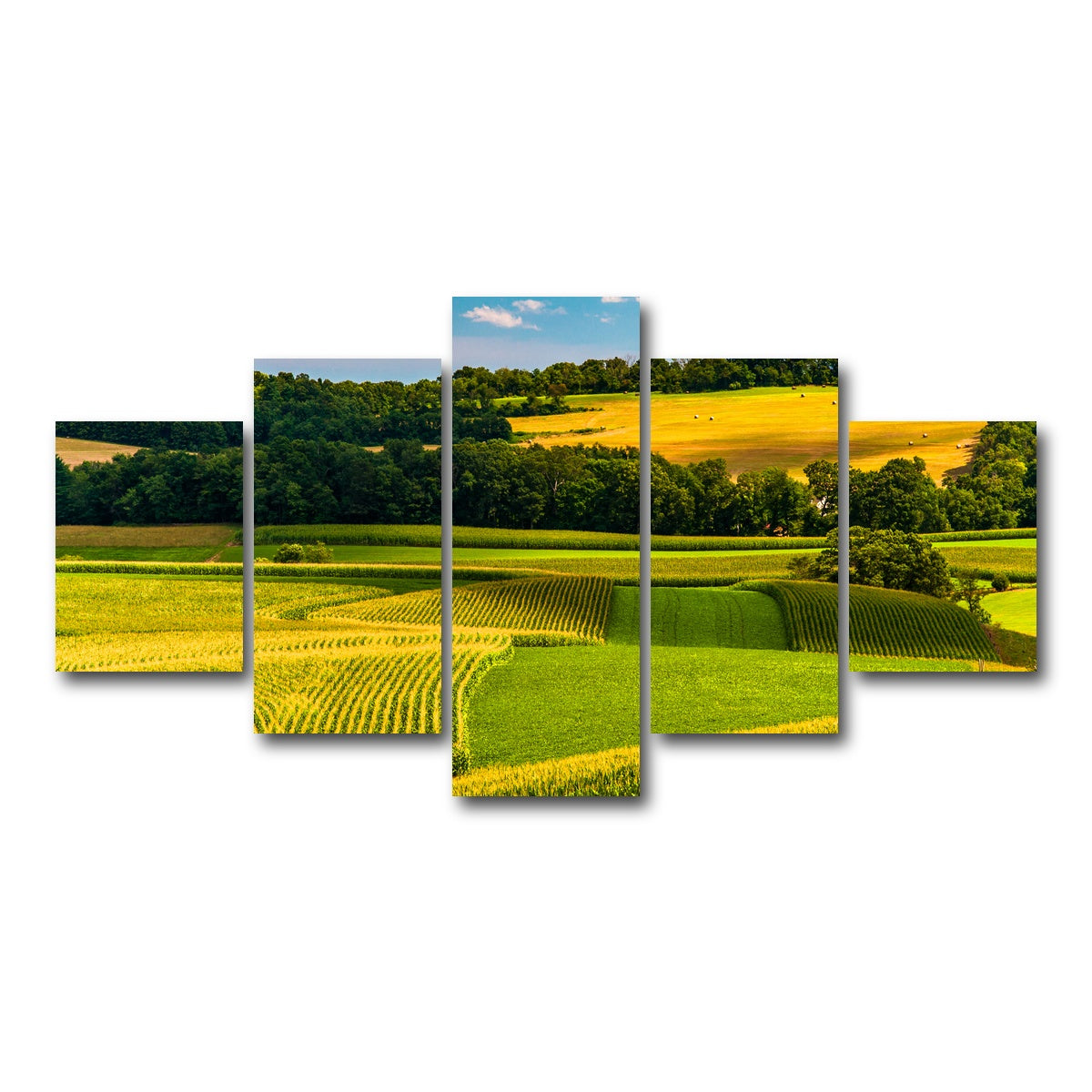 AUTO-MOCKUP WHITE | Corn fields and rolling hills York County | 5 Piece | Gallery Wrap Canvas | group=5_short