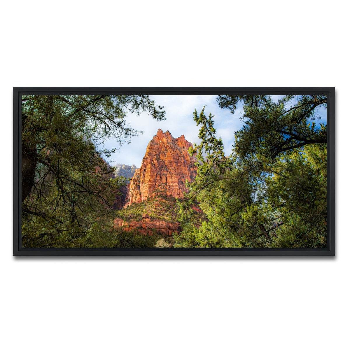 AUTO-MOCKUP WHITE | Court of the Patriarchs | 1 Piece | Black Framed Canvas | group=2x1