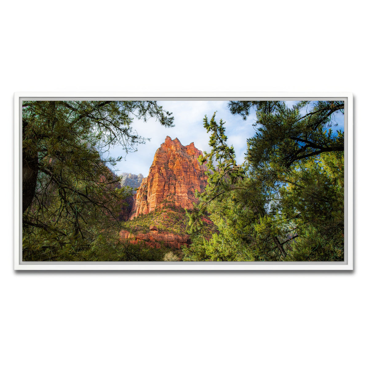 AUTO-MOCKUP WHITE | Court of the Patriarchs | 1 Piece | White Framed Canvas | group=2x1