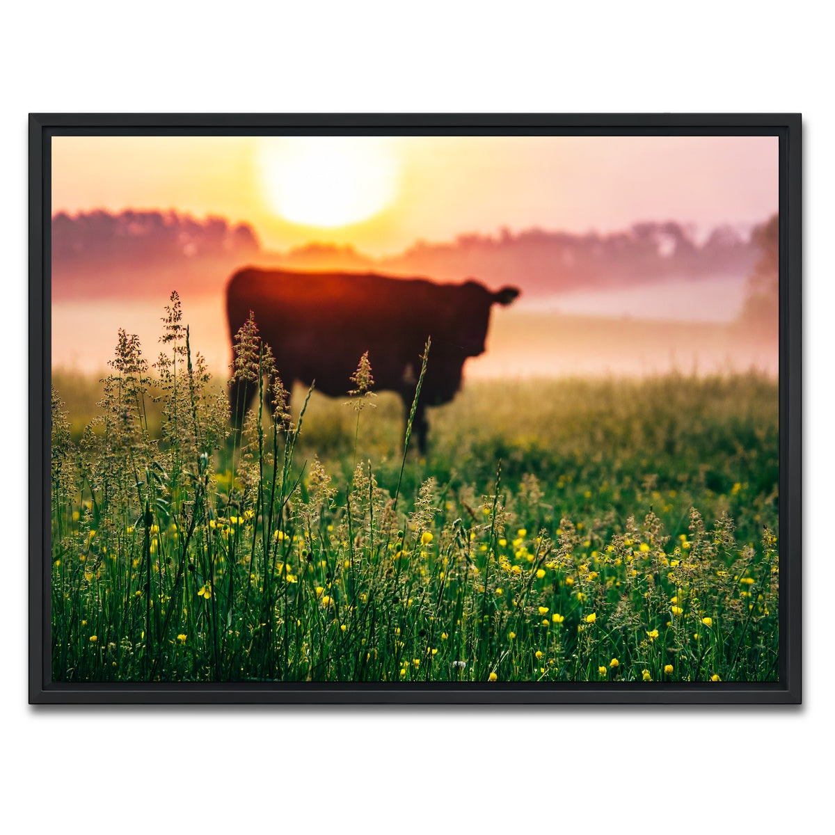 AUTO-MOCKUP WHITE | Cow Sunrise | 1 Piece | Black Framed Canvas | group=4x3