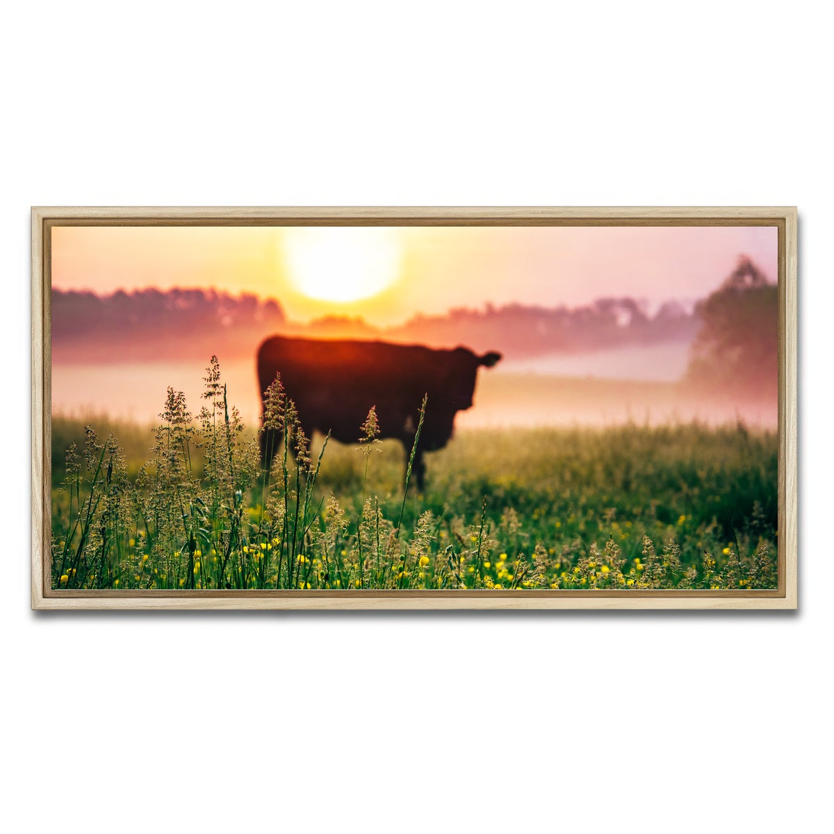 AUTO-MOCKUP WHITE | Cow Sunrise | 1 Piece | Natural Framed Canvas | group=2x1