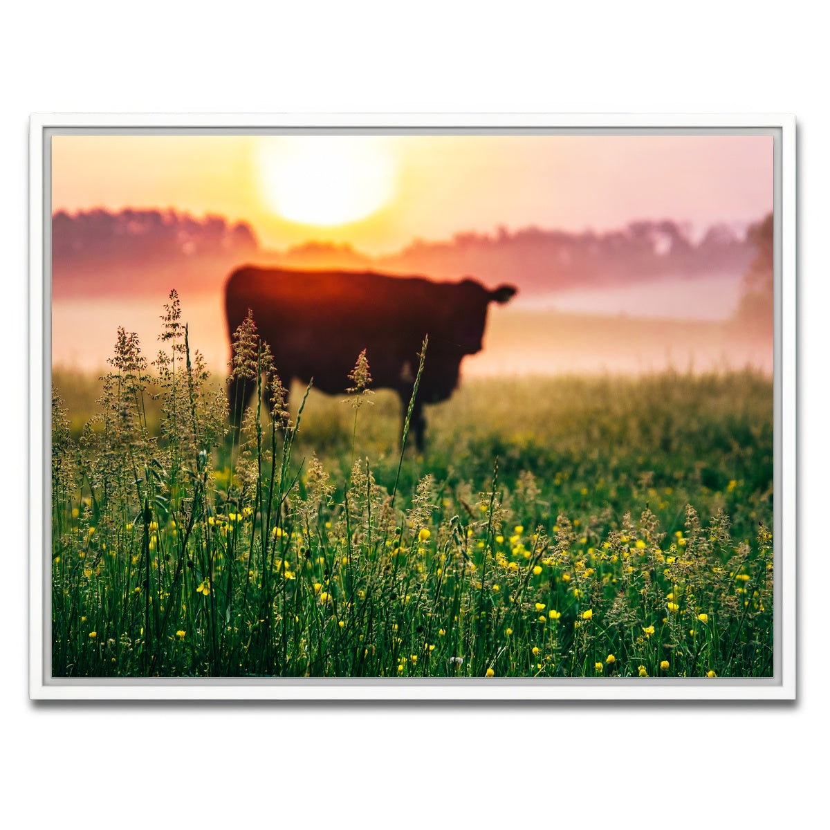 AUTO-MOCKUP WHITE | Cow Sunrise | 1 Piece | White Framed Canvas | group=4x3