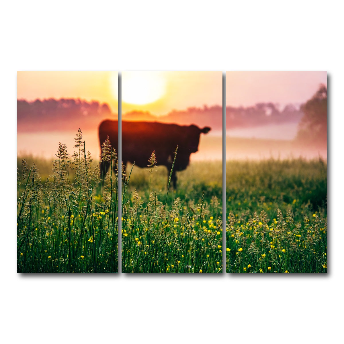 AUTO-MOCKUP WHITE | Cow Sunrise | 3 Piece | Gallery Wrap Canvas | group=12x24