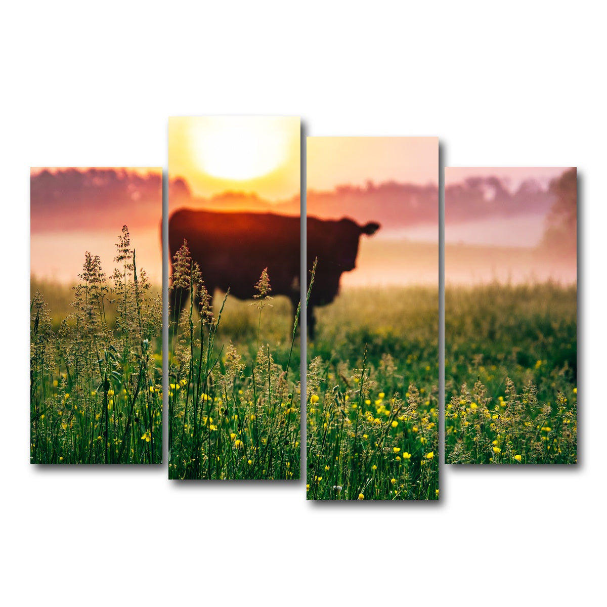 AUTO-MOCKUP WHITE | Cow Sunrise | 4 Piece | Gallery Wrap Canvas | group=4_normal