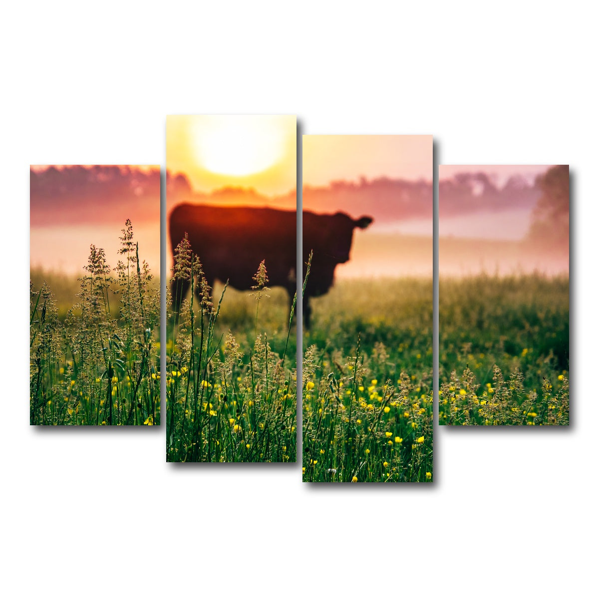 AUTO-MOCKUP WHITE | Cow Sunrise | 4 Piece | Gallery Wrap Canvas | group=4_short