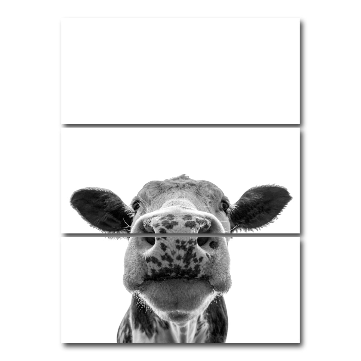 AUTO-MOCKUP WHITE | Cow | 3 Piece | Gallery Wrap Canvas | group=8x18_stacked
