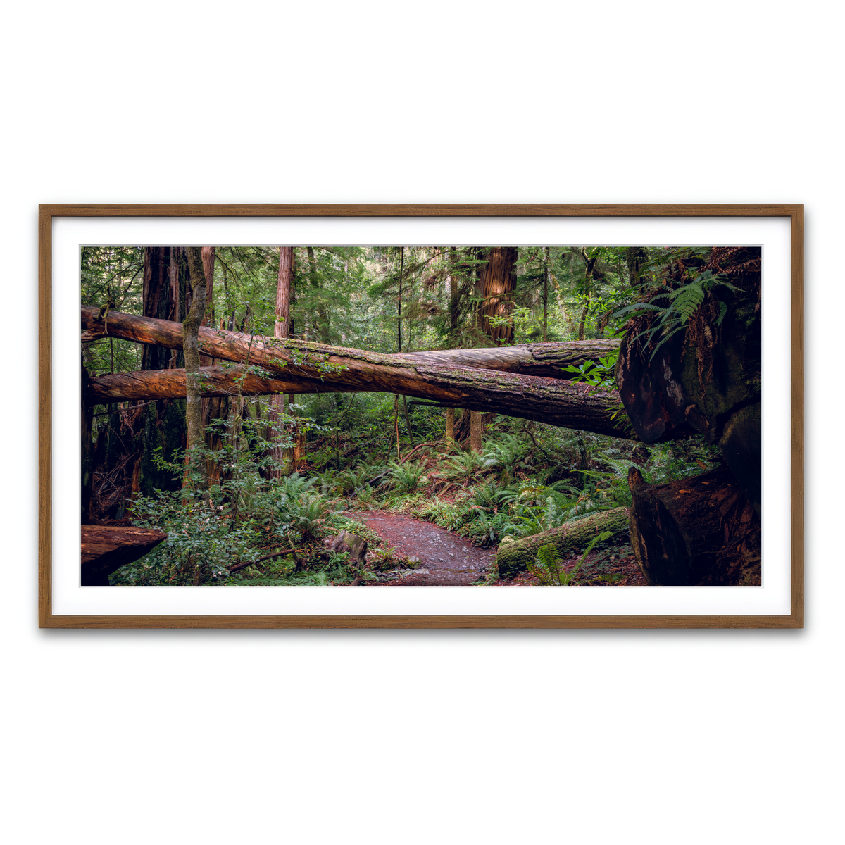 Framed Print 2x1 Walnut