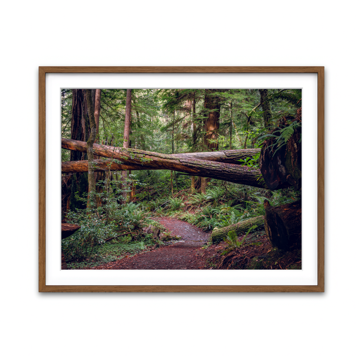 Framed Print 4x3 Walnut