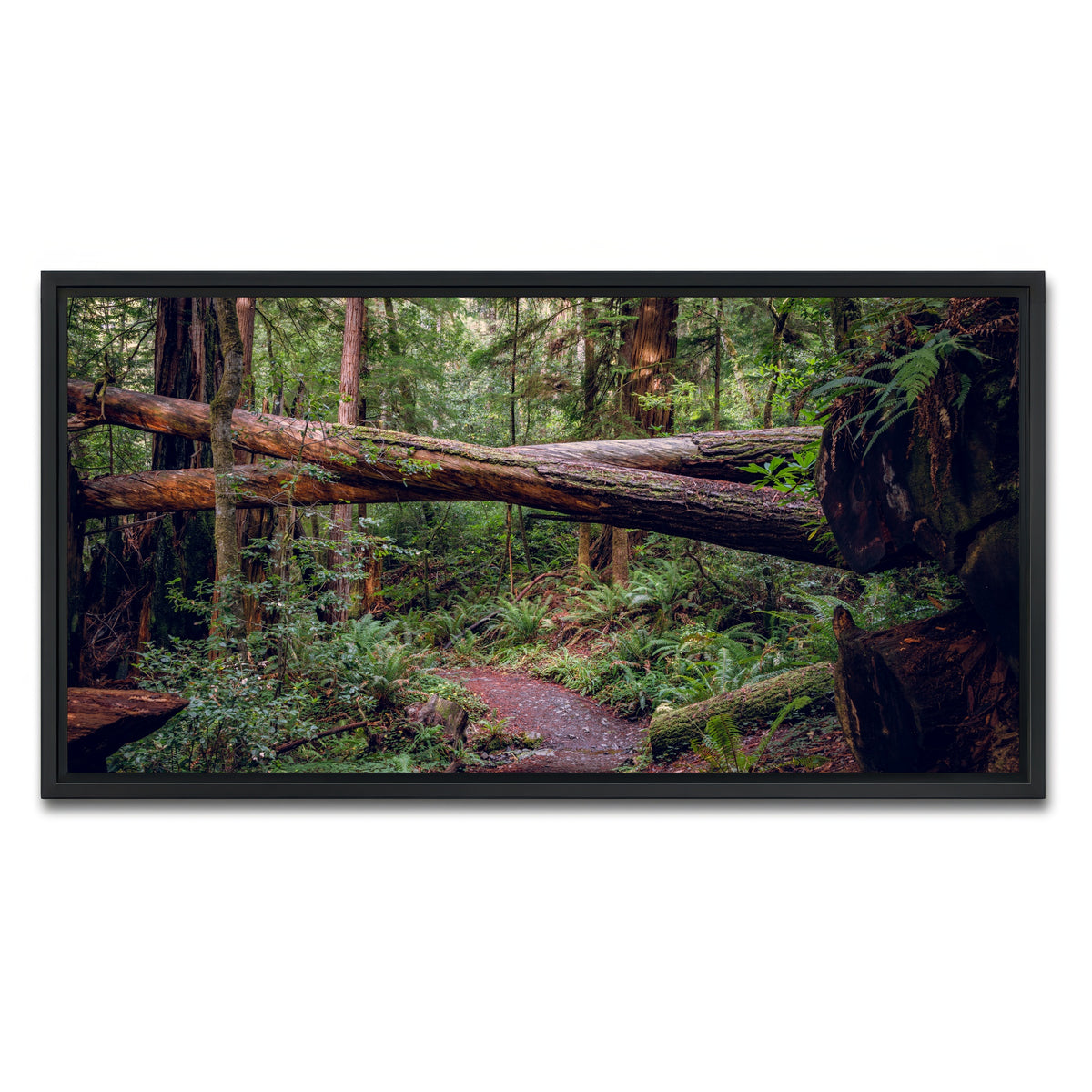 AUTO-MOCKUP WHITE | Crossed Trees | 1 Piece | Black Framed Canvas | group=2x1