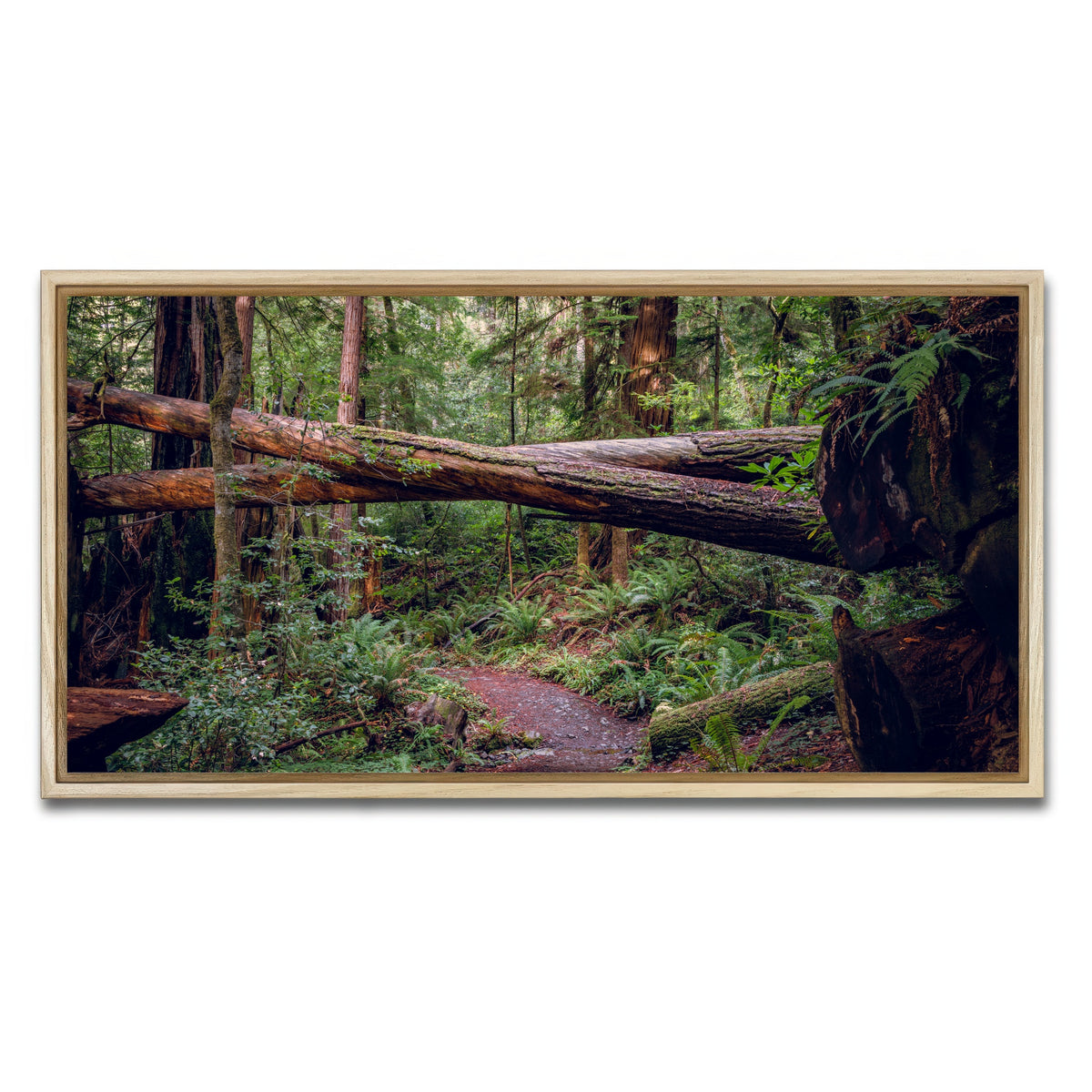 AUTO-MOCKUP WHITE | Crossed Trees | 1 Piece | Natural Framed Canvas | group=2x1