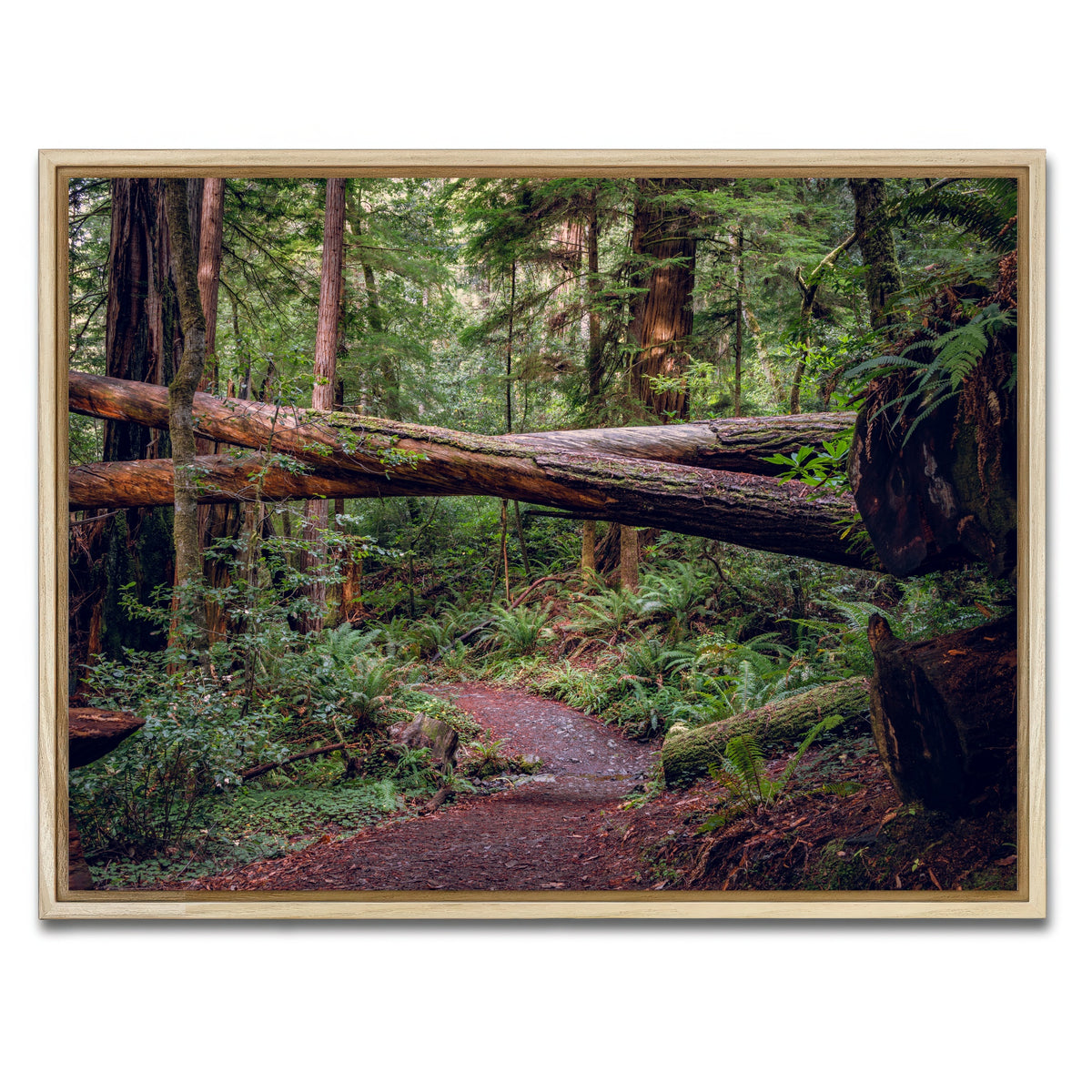 AUTO-MOCKUP WHITE | Crossed Trees | 1 Piece | Natural Framed Canvas | group=4x3