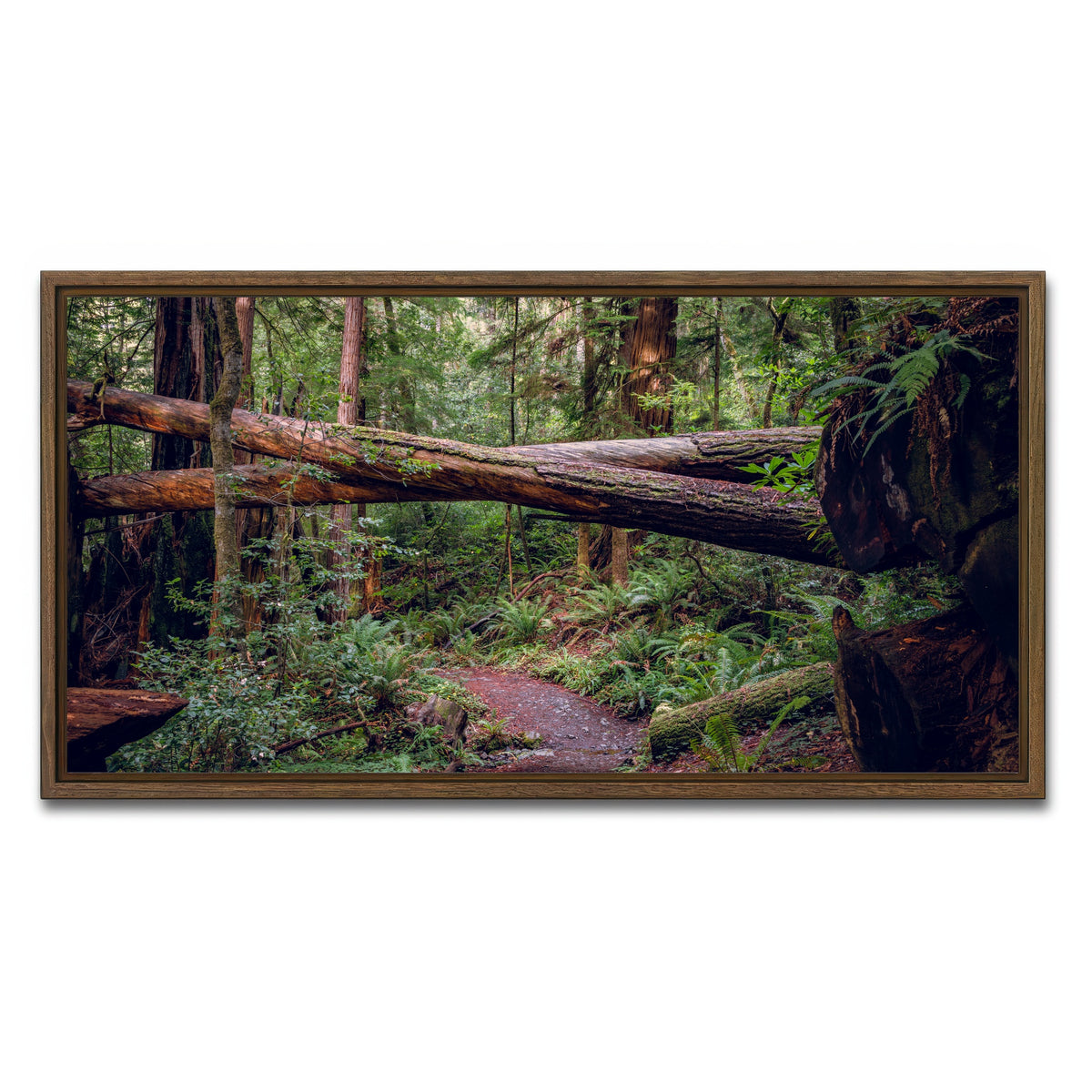 AUTO-MOCKUP WHITE | Crossed Trees | 1 Piece | Walnut Framed Canvas | group=2x1