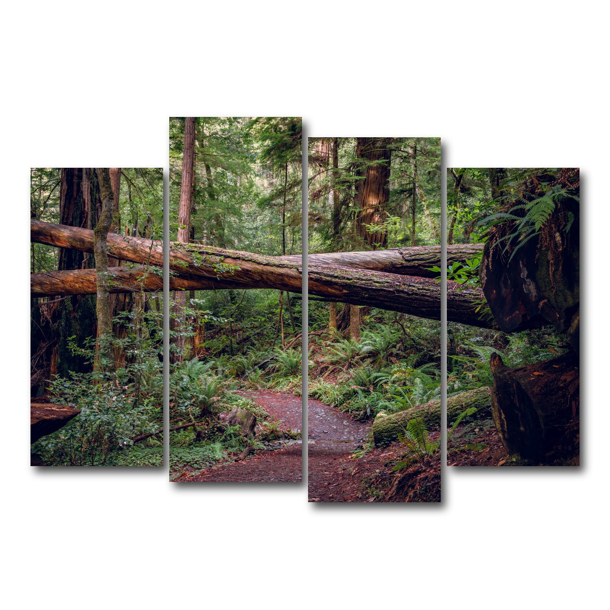 AUTO-MOCKUP WHITE | Crossed Trees | 4 Piece | Gallery Wrap Canvas | group=4_normal