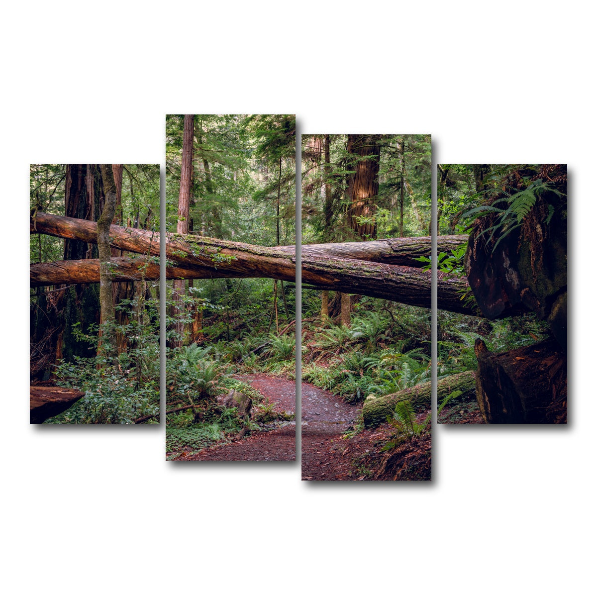 AUTO-MOCKUP WHITE | Crossed Trees | 4 Piece | Gallery Wrap Canvas | group=4_short