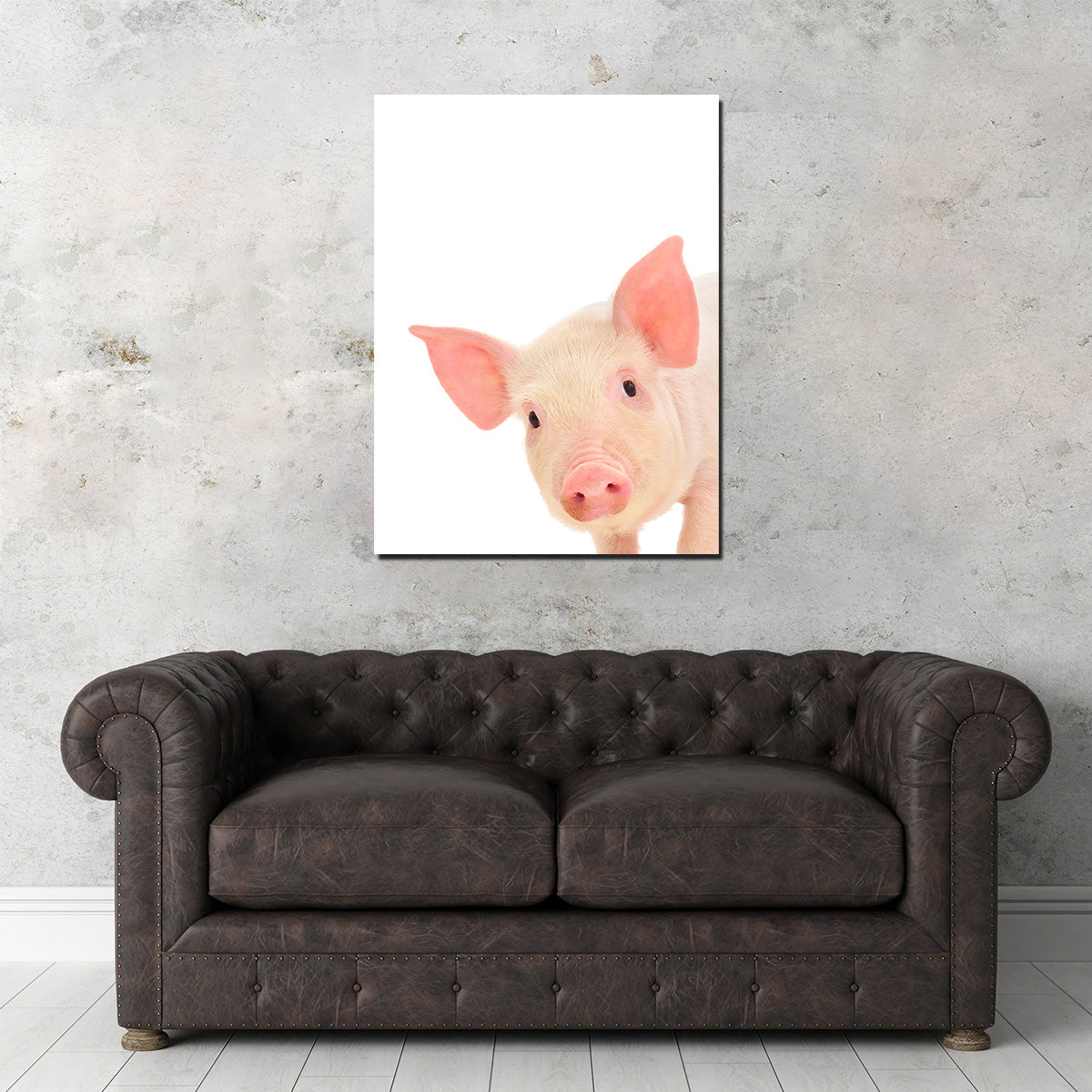 Cute Baby Pig Wall Art