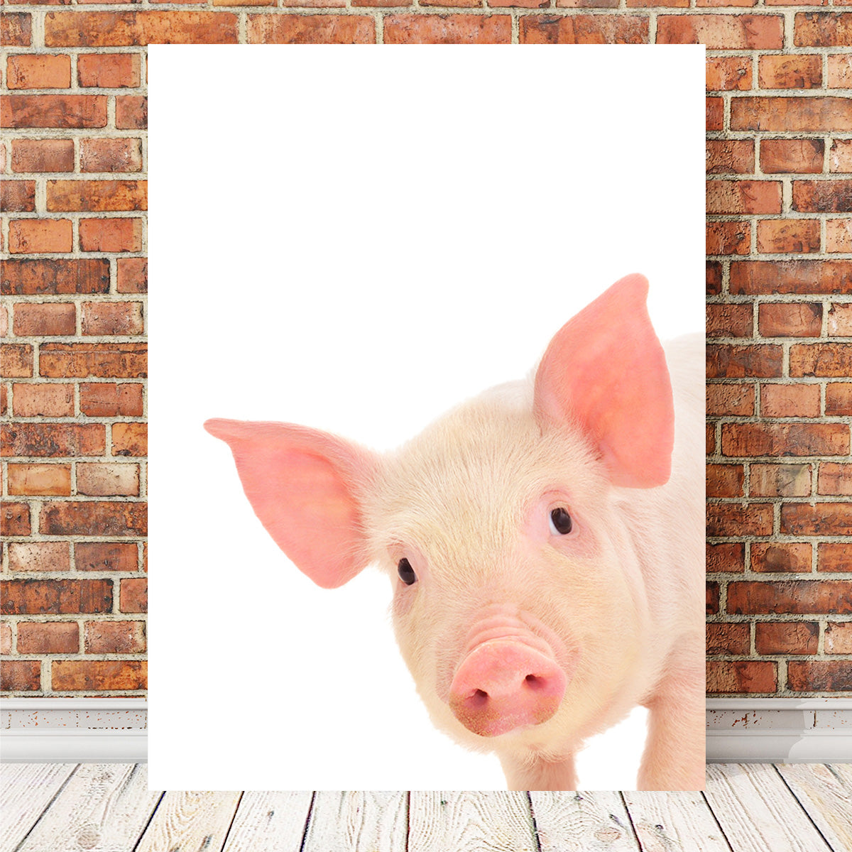 Cute Baby Pig Wall Art