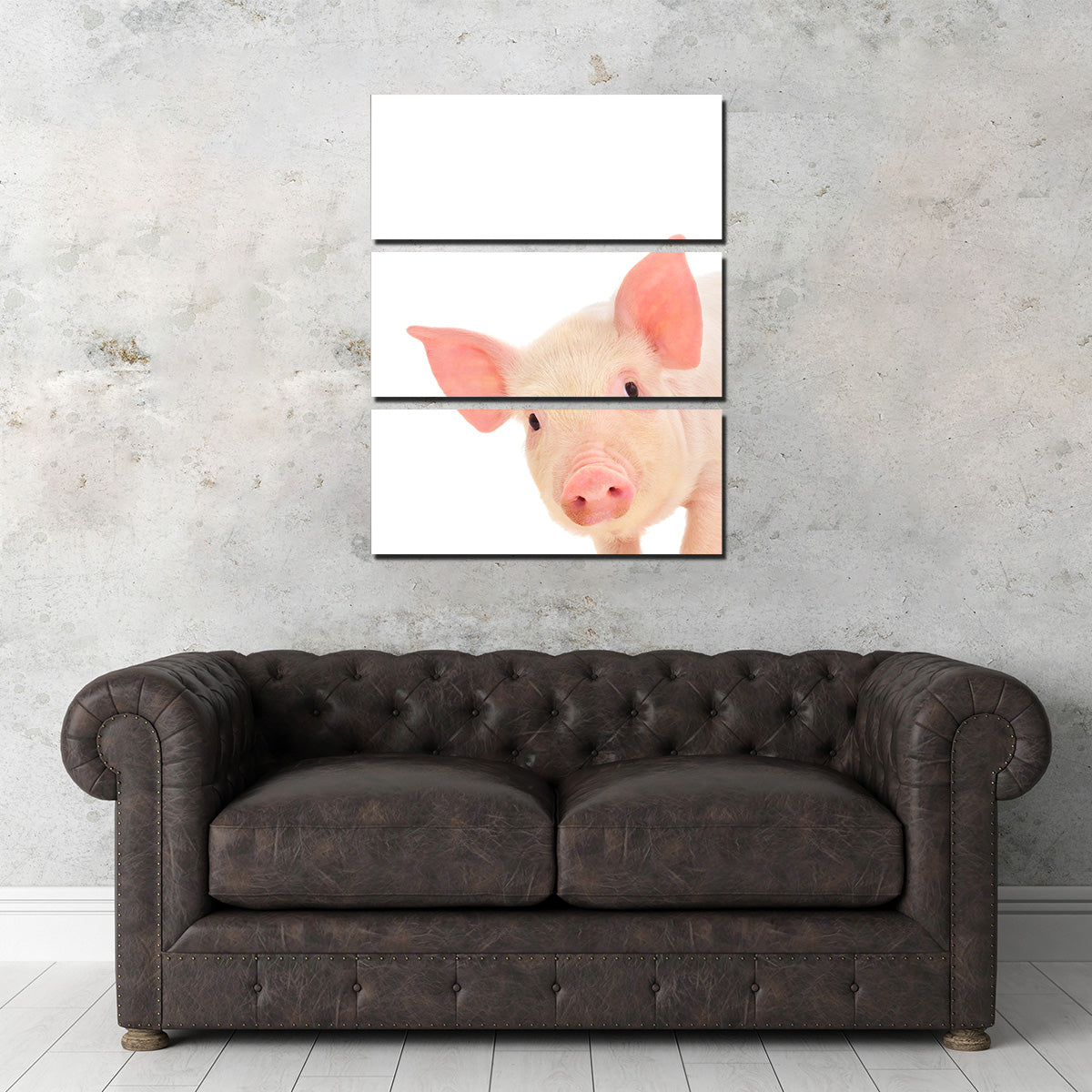 Cute Baby Pig Wall Art