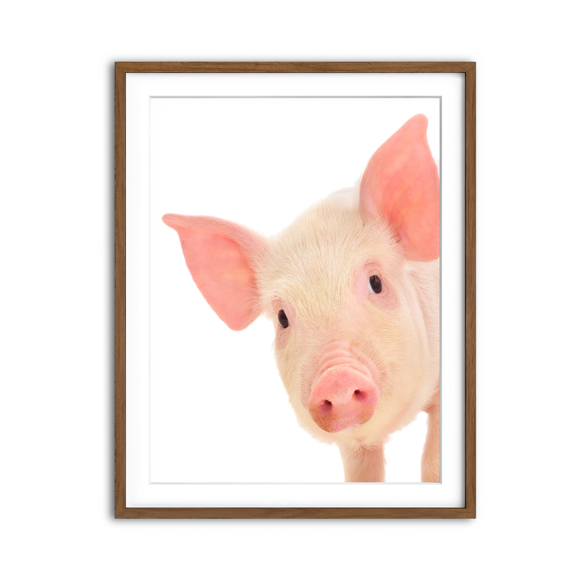 Framed Print 3x4 Walnut