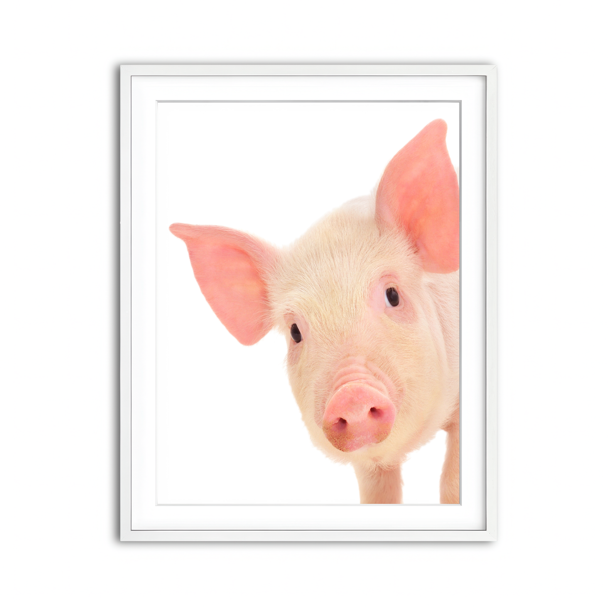 Framed Print 3x4 White