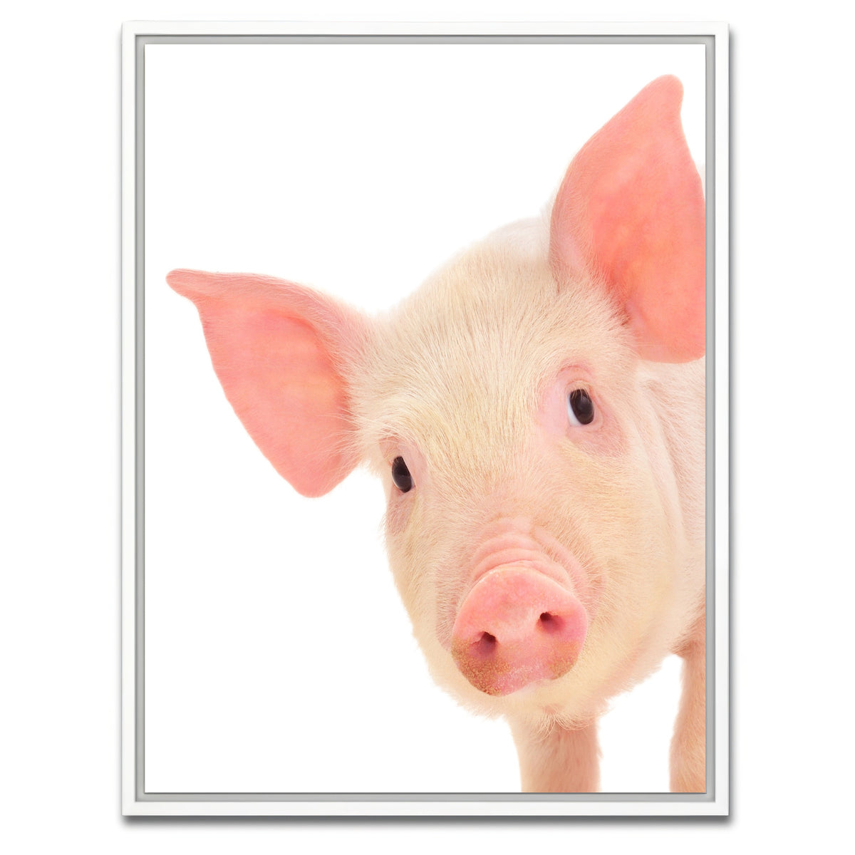 AUTO-MOCKUP WHITE | Cute Baby Pig | 1 Piece | White Framed Canvas | group=3x4